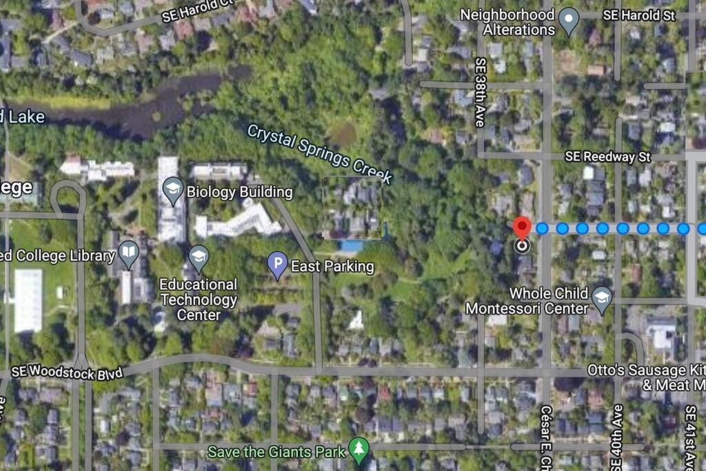 Heart Of Woodstock, 10 Min Walk To Reed, With Private Garage! Apartment Portland Luaran gambar