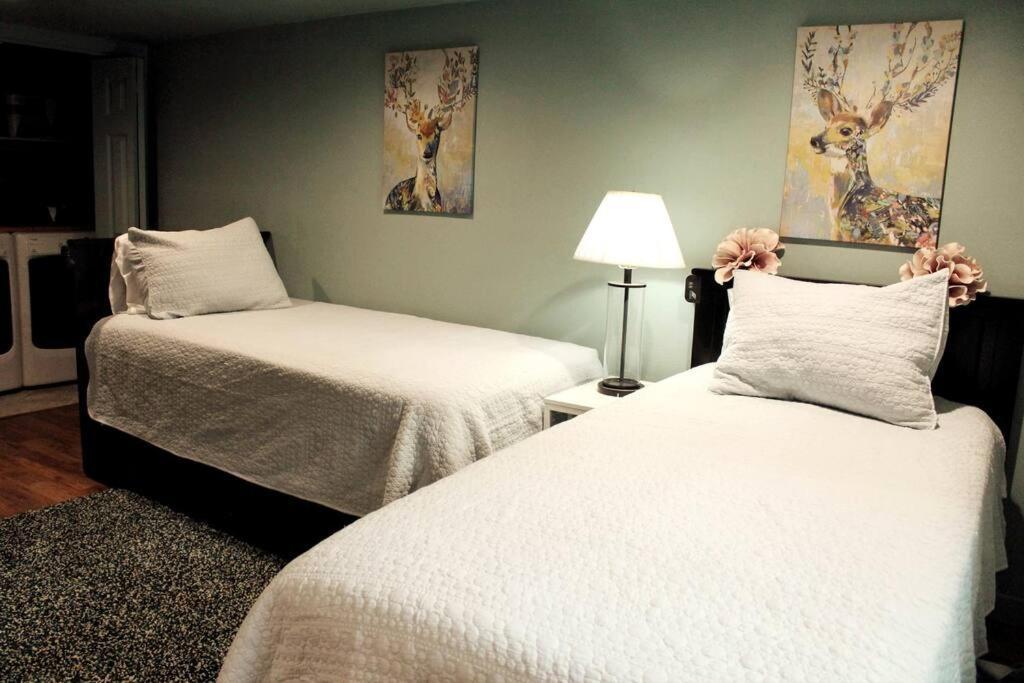Heart Of Woodstock, 10 Min Walk To Reed, With Private Garage! Apartment Portland Luaran gambar